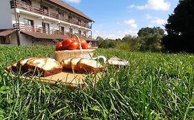 La Curtea Porumbaceana